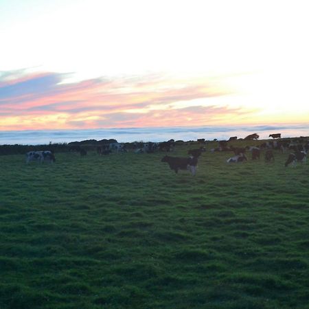 Family Run Farm B&B Gooseham Buitenkant foto
